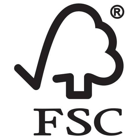 Nastro adesivo Viva ECO in carta Kraft FSC - 50 mm x 50 m - avana - 2031